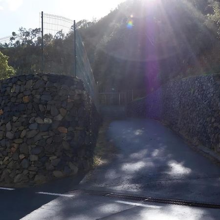 Complejo Rural Pajar De Bento Apartment Agulo Exterior photo
